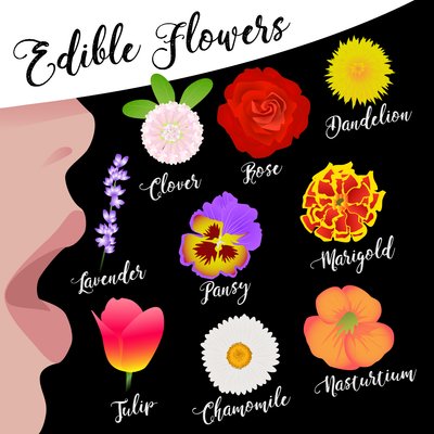Fiori Commestibili da Claire Huntley