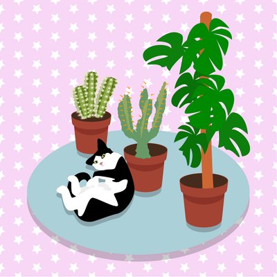 Il Gatto e i Cactus da Claire Huntley