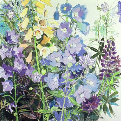 Delphinium e digitali da Claire Spencer