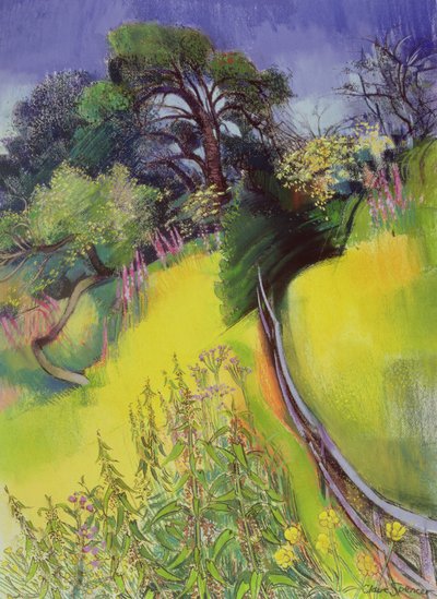 Mezza estate da Claire Spencer