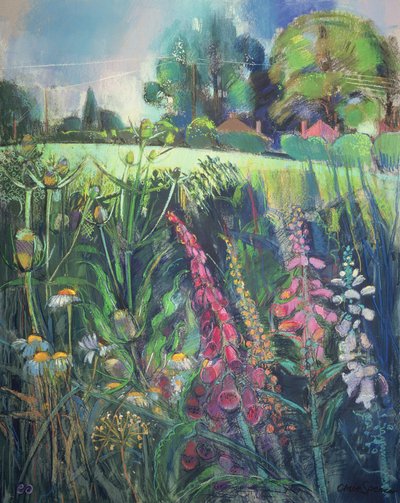 Campo estivo da Claire Spencer