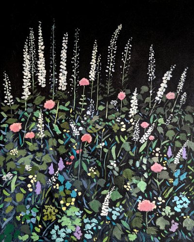 I fiori del giardino notturno da Claire Whitehead