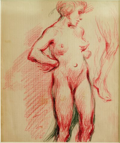 Nudo femminile in piedi da Clara Siewert