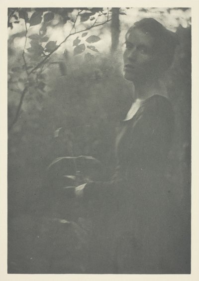 Margine del Bosco da Clarence H. White