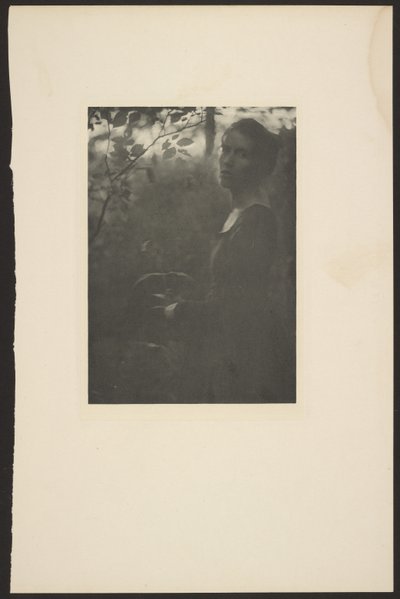 [Ai margini del bosco - Sera] da Clarence H. White