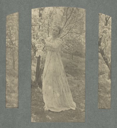 Primavera da Clarence H. White