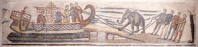 Imbarco di un elefante su una nave da Classical Antiquities