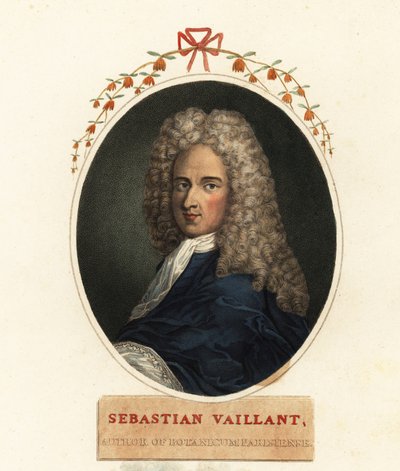 Ritratto di Sebastian Vaillant, botanico francese da Claude Aubriet