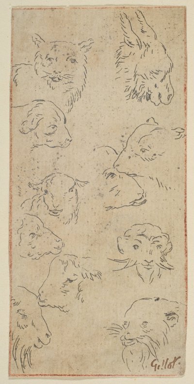 Studio di teste di animali, n.d. da Claude Gillot