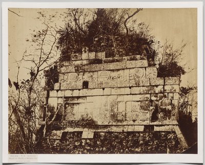 Palazzo del Circo a Chicen-Itza (bassorilievo di tigri) da Claude Joseph Désiré Charnay