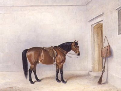 Pony da caccia sellato da Claude L. Ferneley