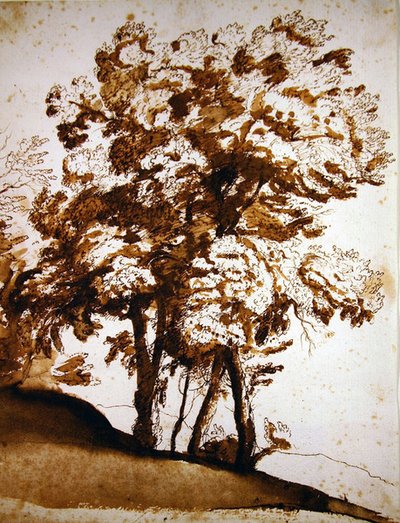 Un gruppo di alberi alla luce del sole da Claude Lorrain