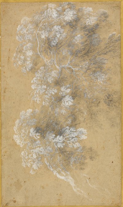 Schizzo di fogliame e rami da Claude Lorrain