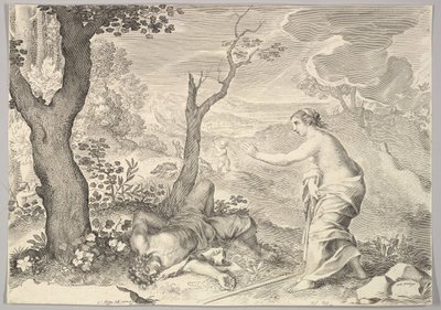 Morte di Adone da Claude Mellan