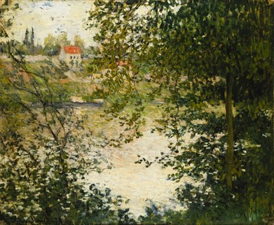 Una vista attraverso gli alberi dell