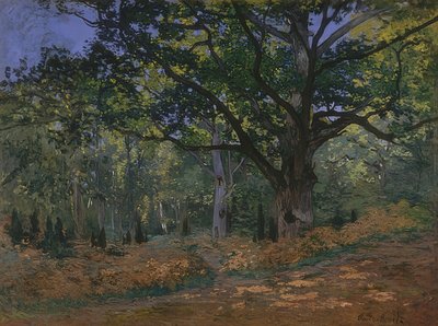 Quercia di Bodmer nella foresta di Fontainebleau da Claude Monet