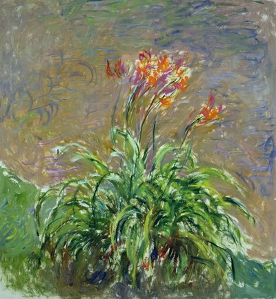 Hemerocallis da Claude Monet