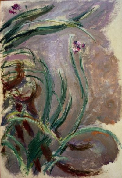 Iris da Claude Monet