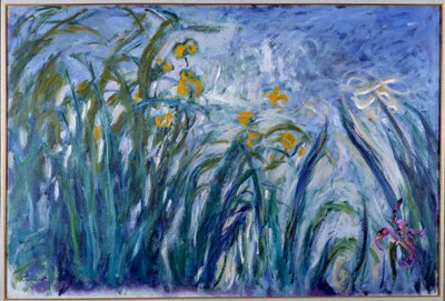Iris da Claude Monet
