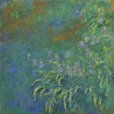 Iris da Claude Monet