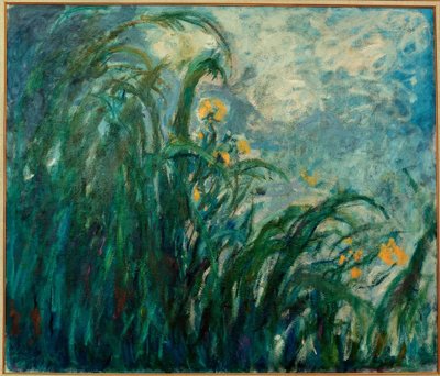 Gli iris gialli da Claude Monet