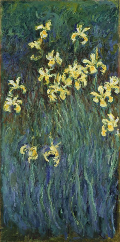 Gli iris gialli da Claude Monet