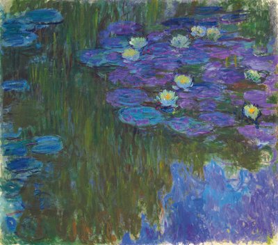 Ninfee in Fiore da Claude Monet