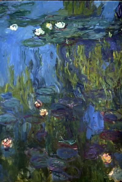 Ninfee, 1914-17 da Claude Monet