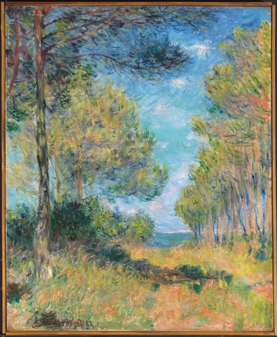 Sentiero di pini a Varengeville, 1882 da Claude Monet