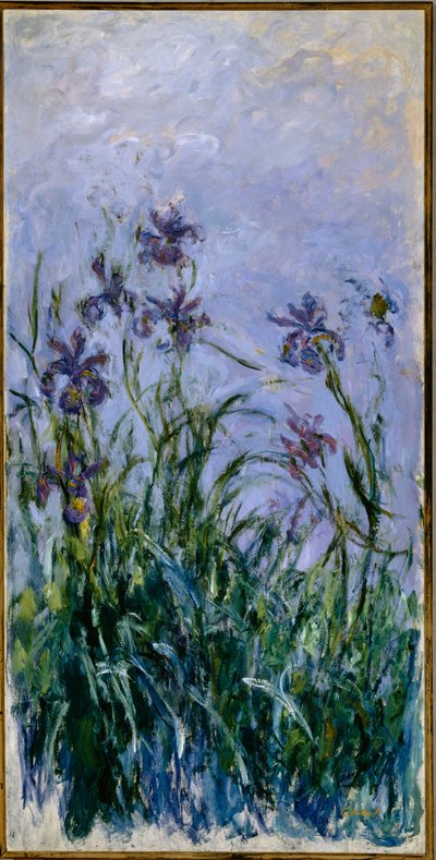 Iris viola da Claude Monet