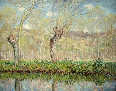 Primavera, il bordo dell