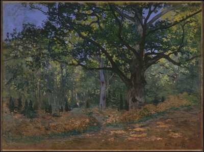 La quercia di Bodmer, foresta di Fontainebleau, 1865 da Claude Monet