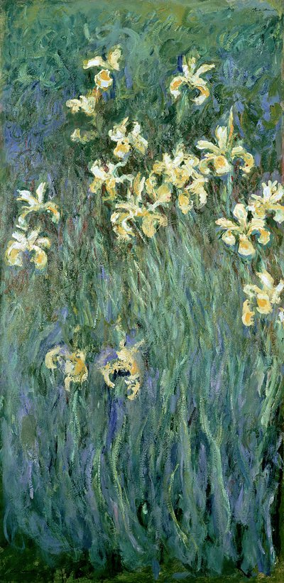 Le iris gialle da Claude Monet