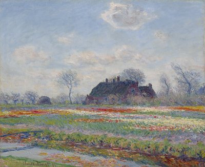 Campi di tulipani a Sassenheim, 1886 da Claude Monet