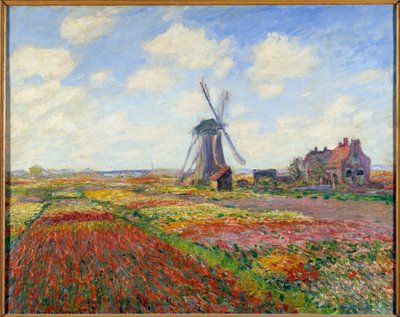 Campi di tulipani in Olanda da Claude Monet