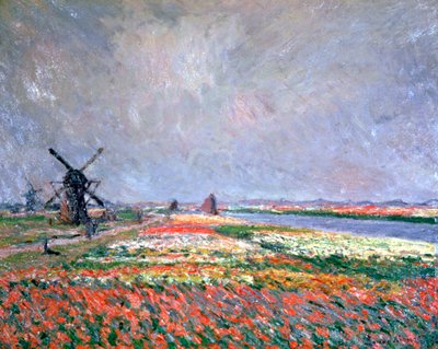 Campi di tulipani vicino a Leida, 1886 da Claude Monet