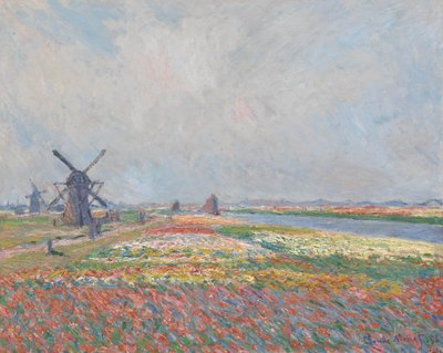Campi di tulipani vicino a L