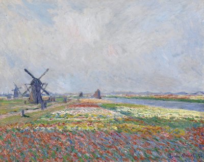 Campi di tulipani vicino a L