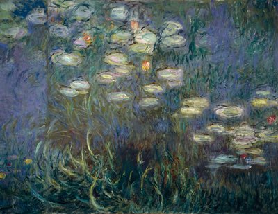 Ninfee (dettaglio) da Claude Monet