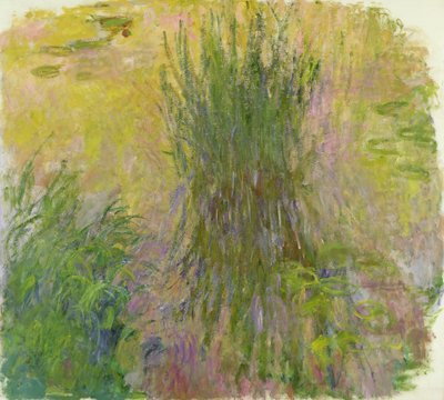 Ninfee da Claude Monet