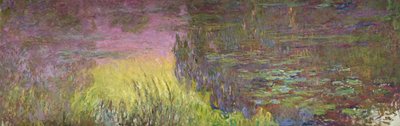 Ninfee al tramonto da Claude Monet