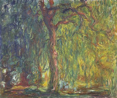 Salice piangente da Claude Monet
