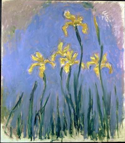 Iris gialli da Claude Monet