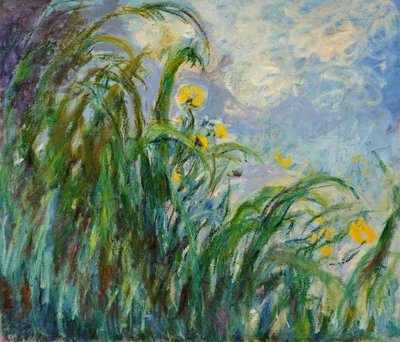 Iris gialli, c. 1925 da Claude Monet