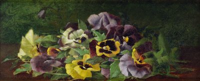 Viole del pensiero (olio su tela) da Claude Raguet Hirst