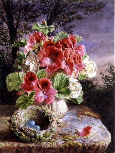 Gloxinia e nido d