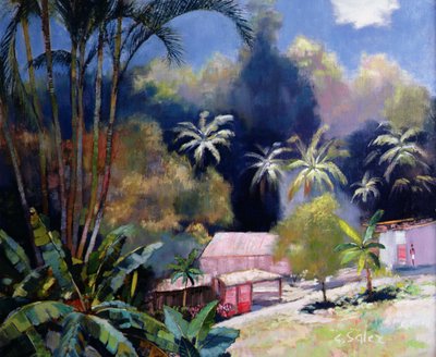 Foresta tropicale, Martinica da Claude Salez