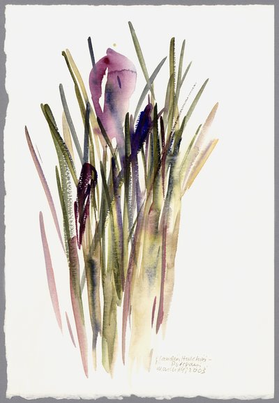 Crocus, 2003 da Claudia Hutchins Puechavy