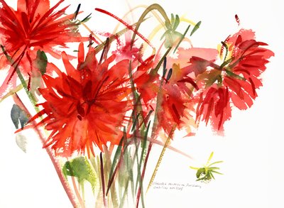 Dalie, 2002 da Claudia Hutchins Puechavy