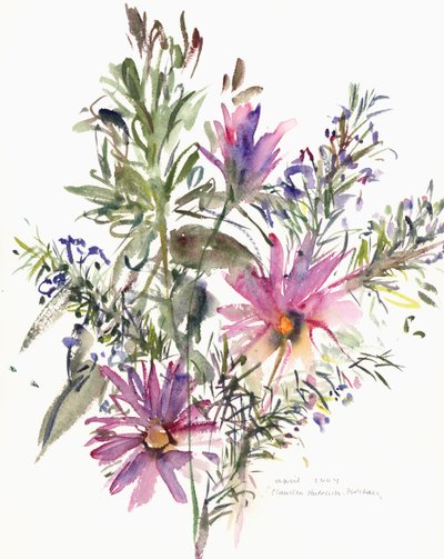 Fiori, margherite sudafricane e lavanda, 2004 da Claudia Hutchins Puechavy